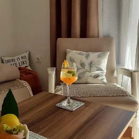 Citrus * Trebinje